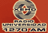 Radio UJED